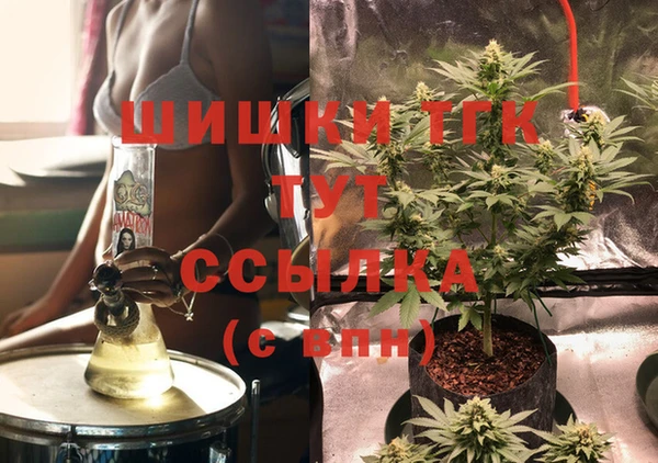 стаф Баксан