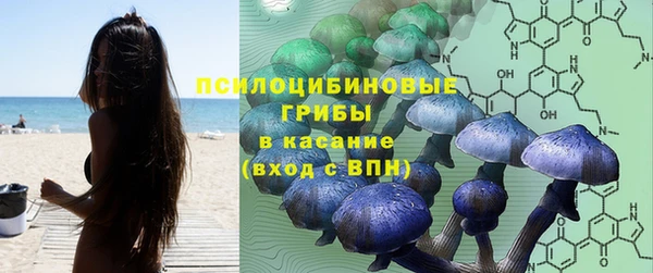 а пвп мука Балабаново