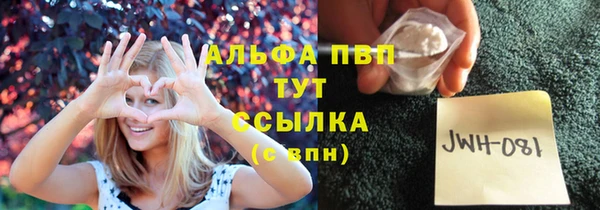 стаф Баксан