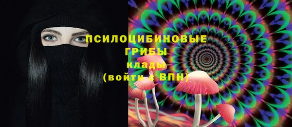 стаф Баксан