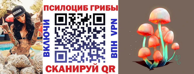 Псилоцибиновые грибы Magic Shrooms  купить наркотик  Краснослободск 